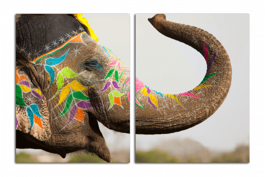 Модульная картина Слон в красках